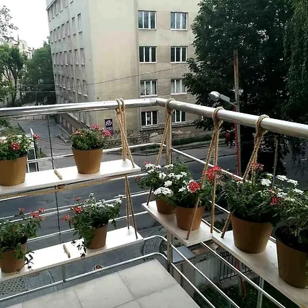 Apartment City Central Lviv Hostel Lviv